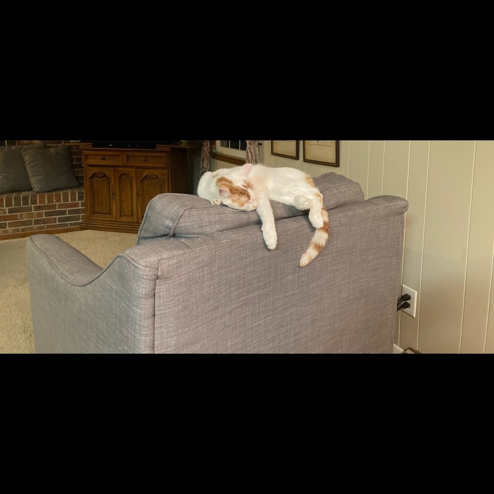 Meet your Posher, Mayo